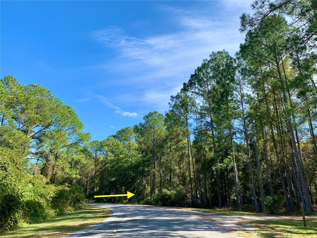 LOT 9 Apricot Avenue Eustis FL 32736 - LAKE NORRIS AND LAKE MARION G5075056 image1