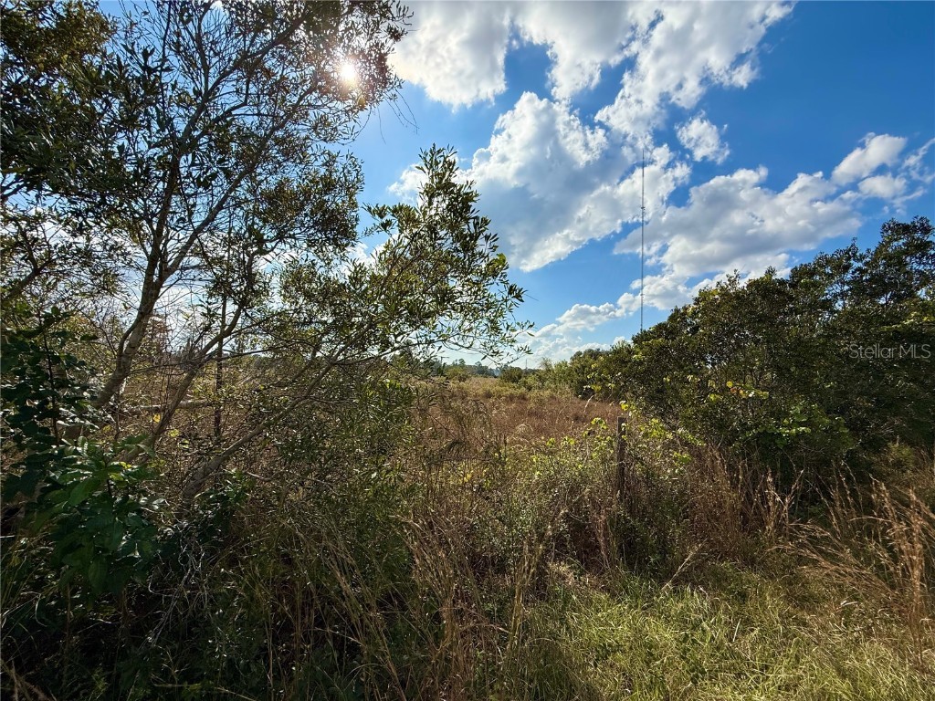 LOT 9 Fort Christmas Road Christmas FL 32709 G5105002 image18