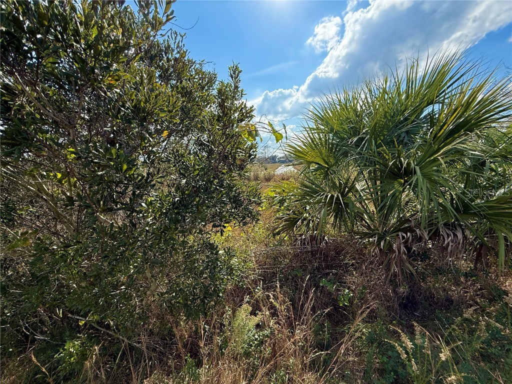 LOT 9 Fort Christmas Road Christmas FL 32709 G5105002 image19