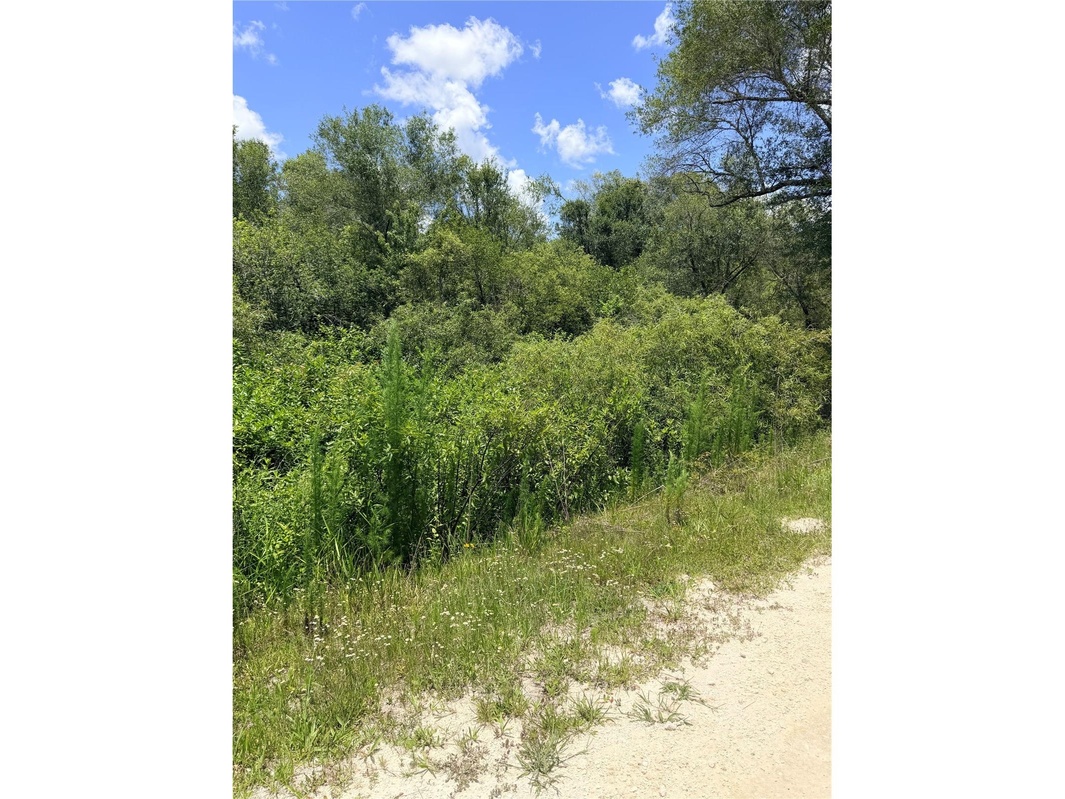 LOT 9 Hardstone Drive Webster FL 33597 OM726665 image4