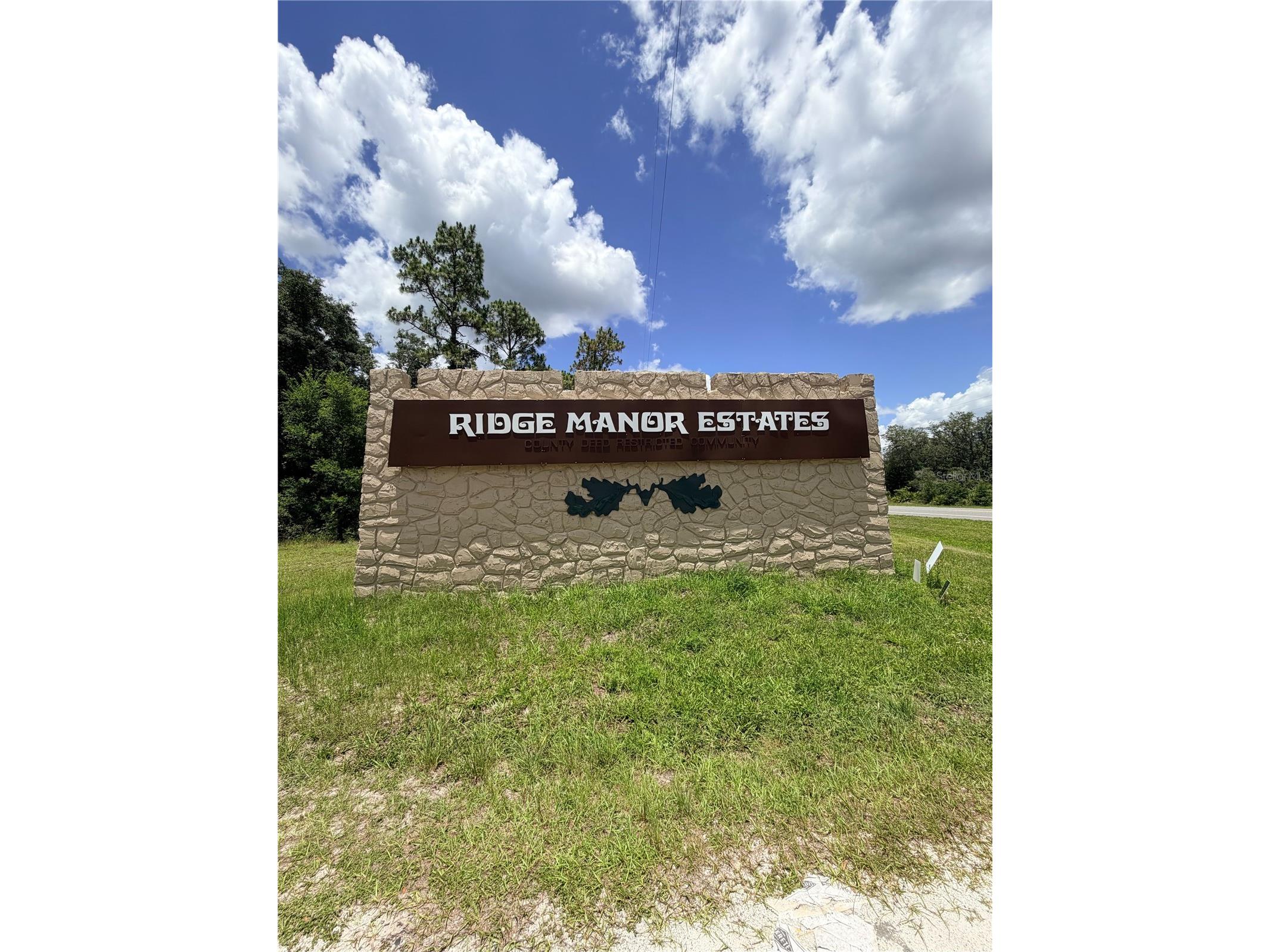 LOT 9 Hardstone Drive Webster FL 33597 OM726665 image6