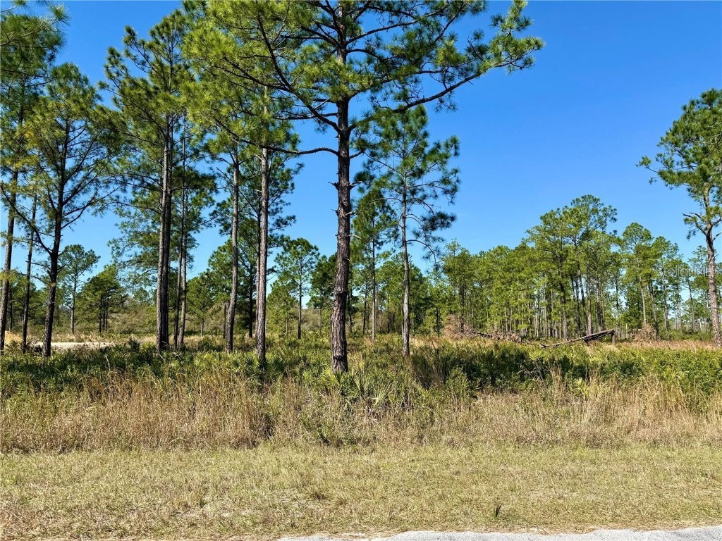 LOT 9 Honeysuckle Street Eustis FL 32736 - LAKE NORRIS G5100662 image1