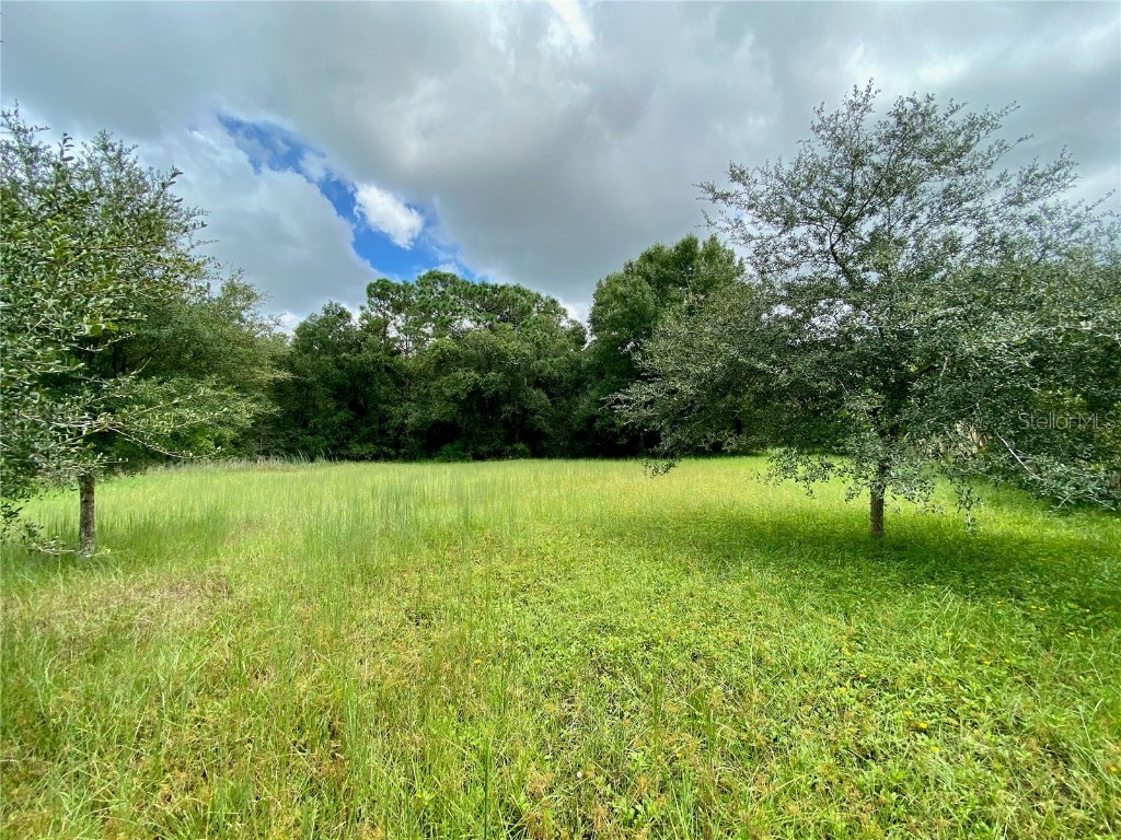 LOT 9 Keystone Palms Boulevard Tarpon Springs FL 34688 W7837699 image1