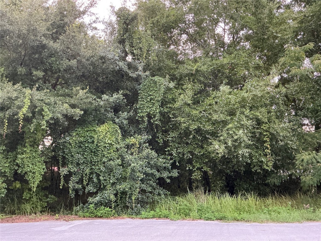 LOT 9 Pine Pass Court Ocala FL 34472 OM683680 image1