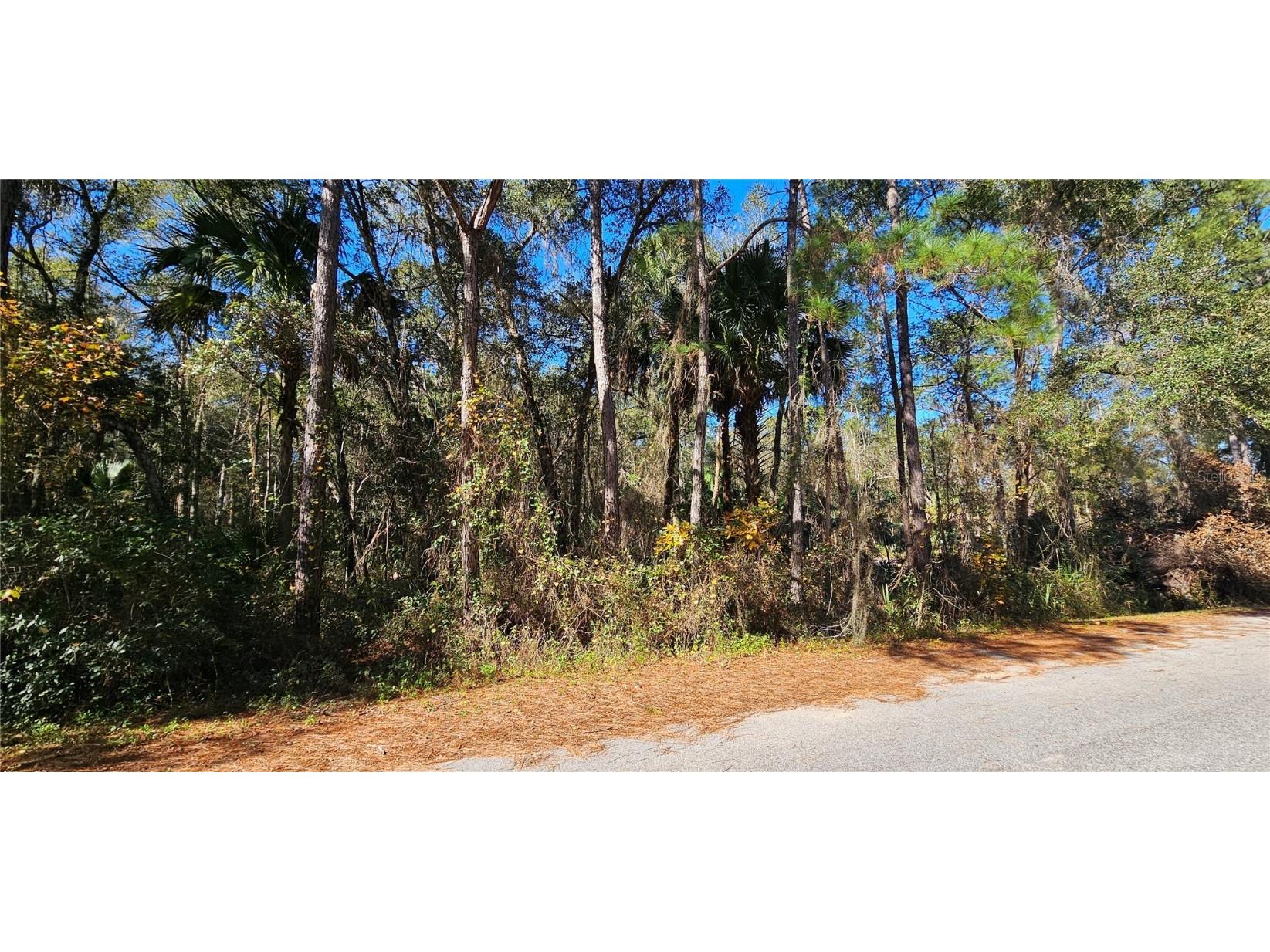 LOT 9 Sequoia Drive Ocklawaha FL 32179 OM670599 image1