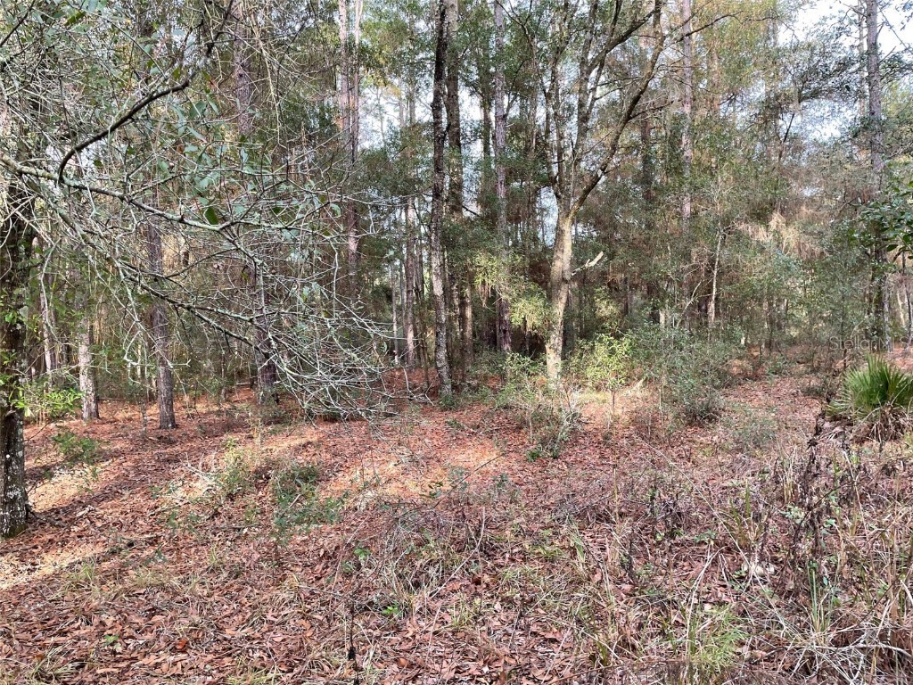 LOT 9 SW 152nd Avenue Ocala FL 34481 OM710640 image2