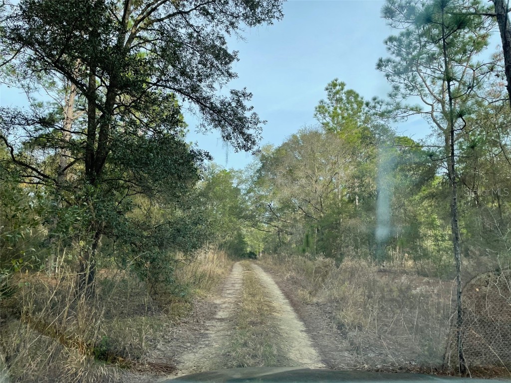 LOT 9 SW 152nd Avenue Ocala FL 34481 OM710640 image3