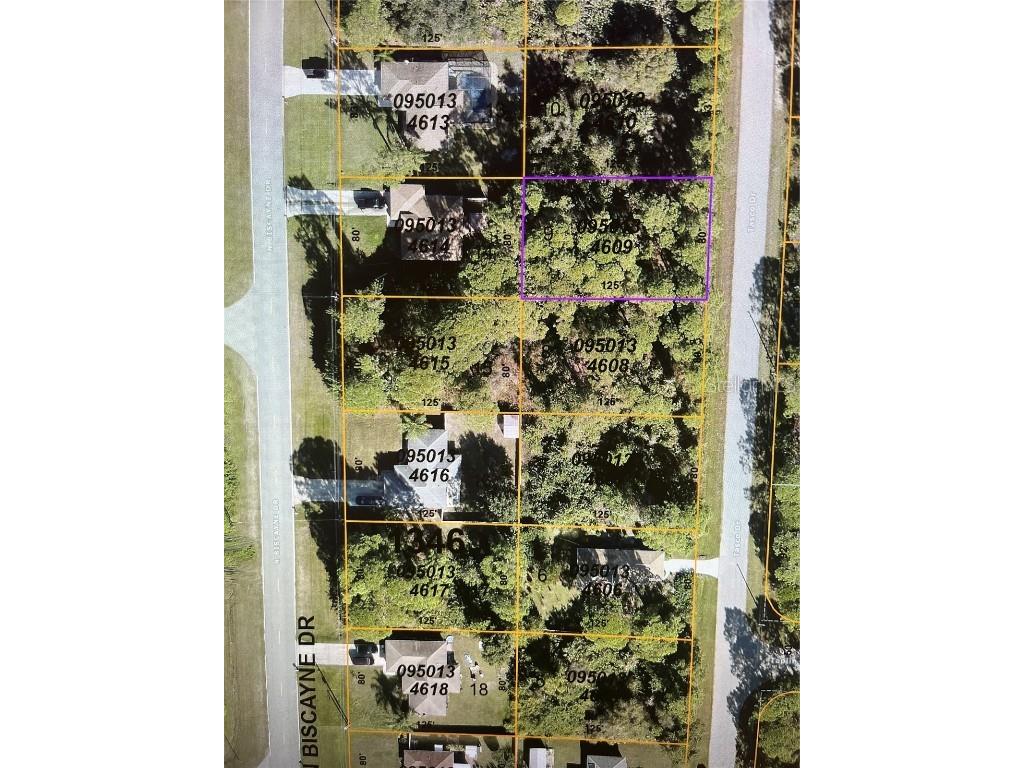 LOT 9 Tasco Drive North Port FL 34291 N6127690 image1