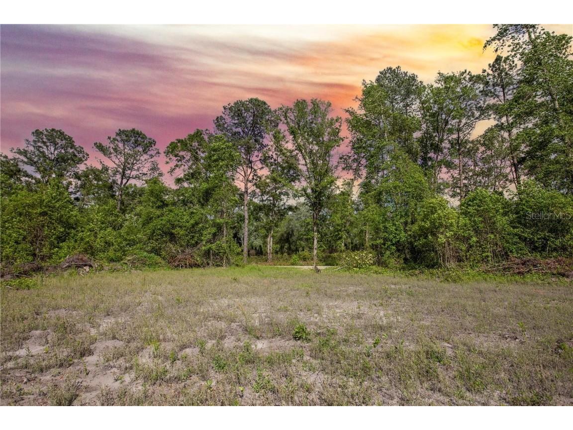 LOT C SW 109th Road Lake Butler FL 32054 GC511720 image1