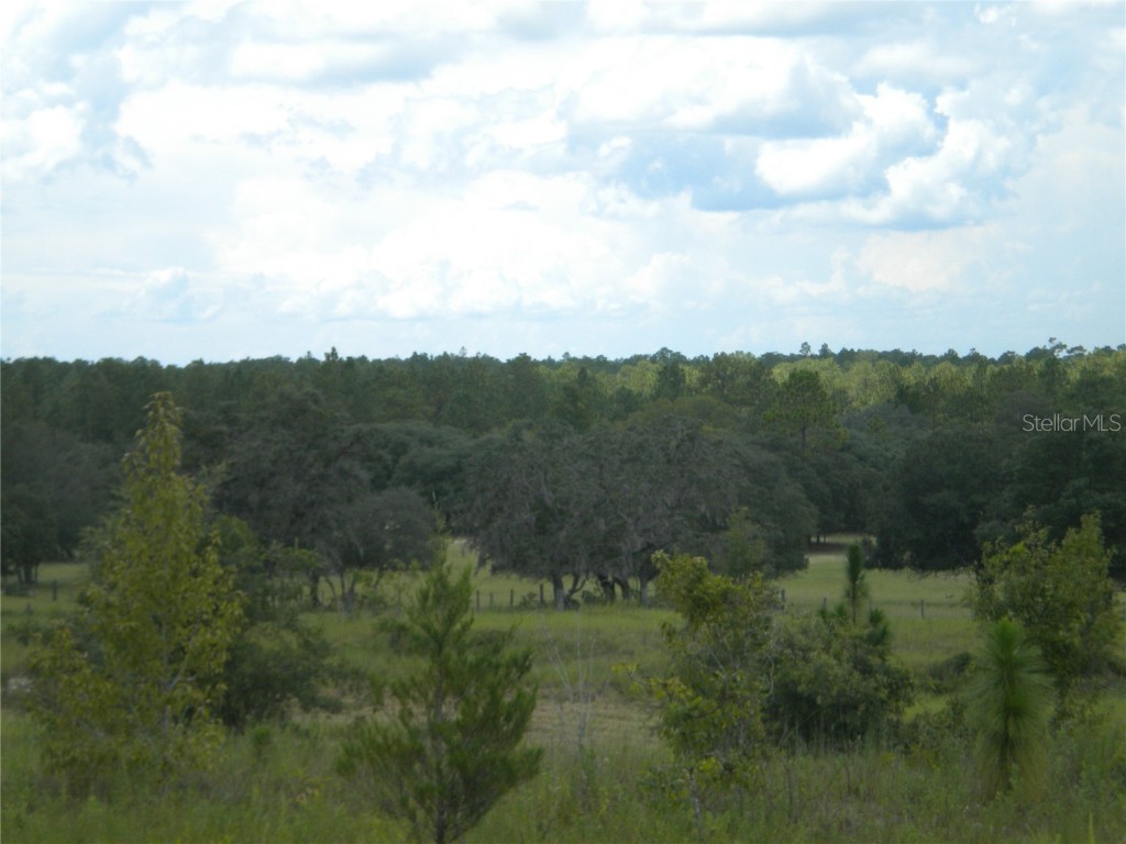 LOT14 SE 136 Th Terrace Dunnellon FL 34431 OM707475 image11