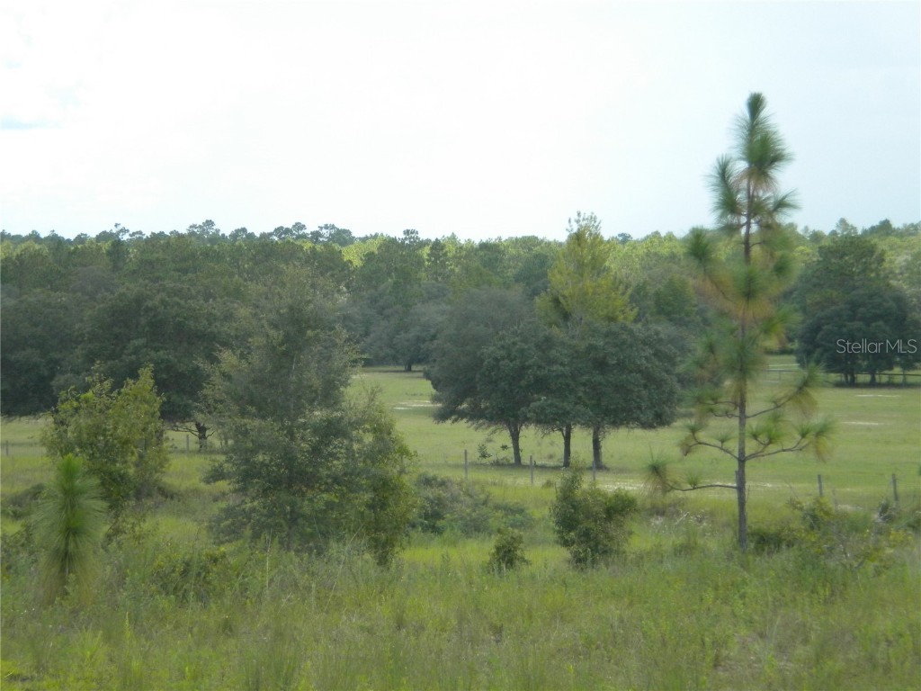 LOT14 SE 136 Th Terrace Dunnellon FL 34431 OM707475 image12