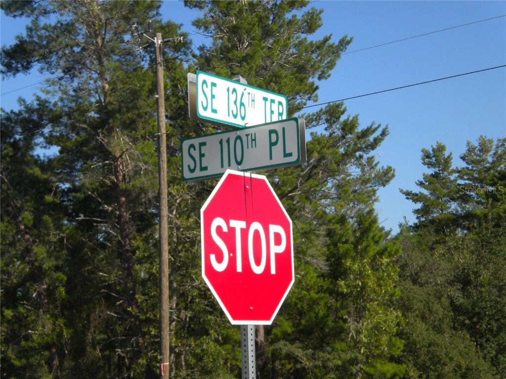 LOT14 SE 136 Th Terrace Dunnellon FL 34431 OM707475 image2