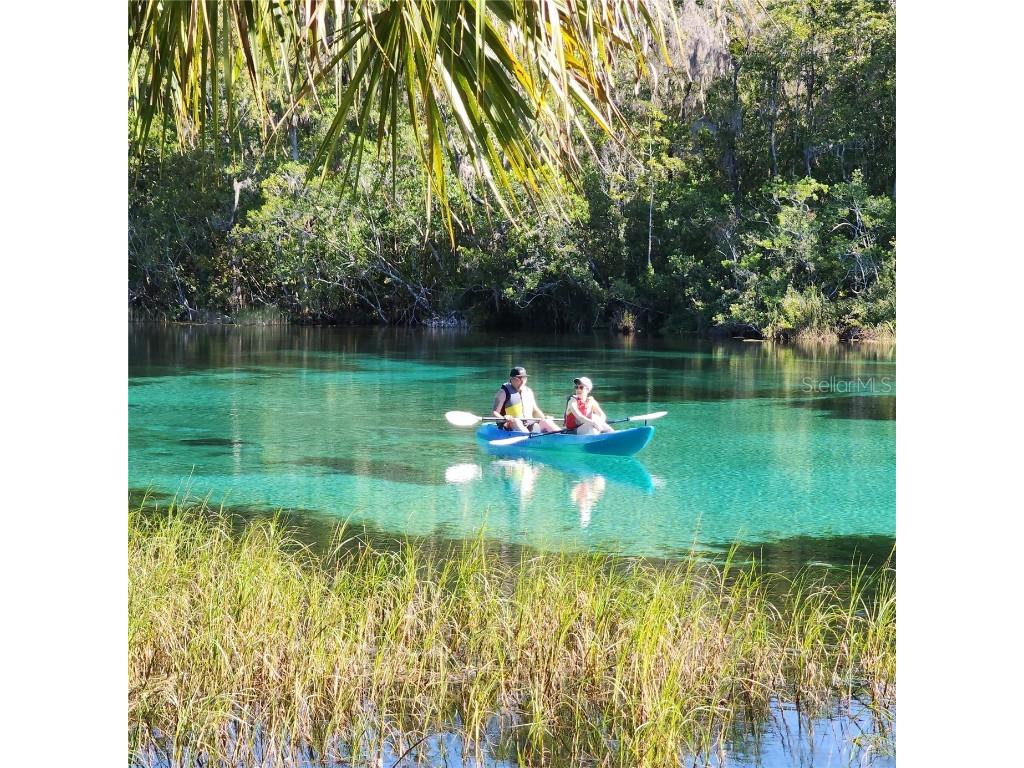 LOT14 SE 136 Th Terrace Dunnellon FL 34431 OM707475 image21