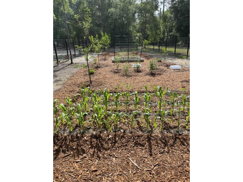 LOT14 SE 136 Th Terrace Dunnellon FL 34431 OM707475 image22