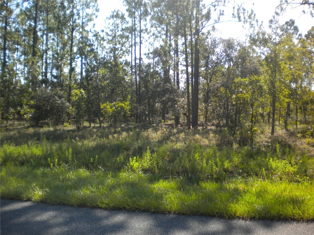 LOT14 SE 136 Th Terrace Dunnellon FL 34431 OM707475 image3