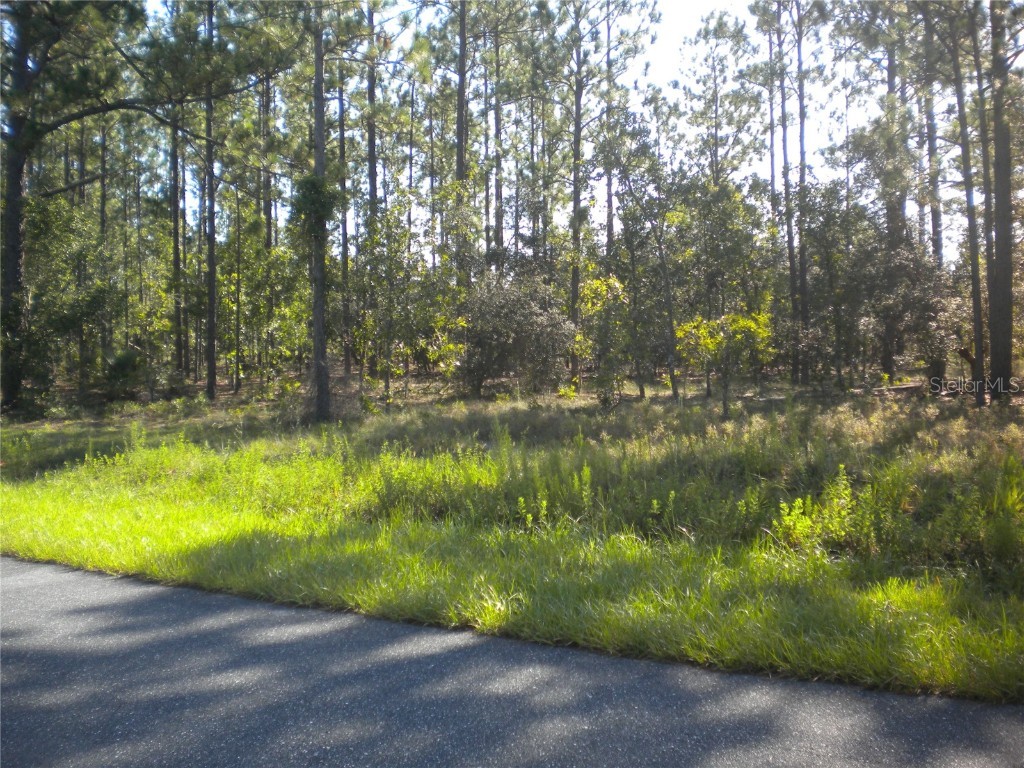 LOT14 SE 136 Th Terrace Dunnellon FL 34431 OM707475 image4
