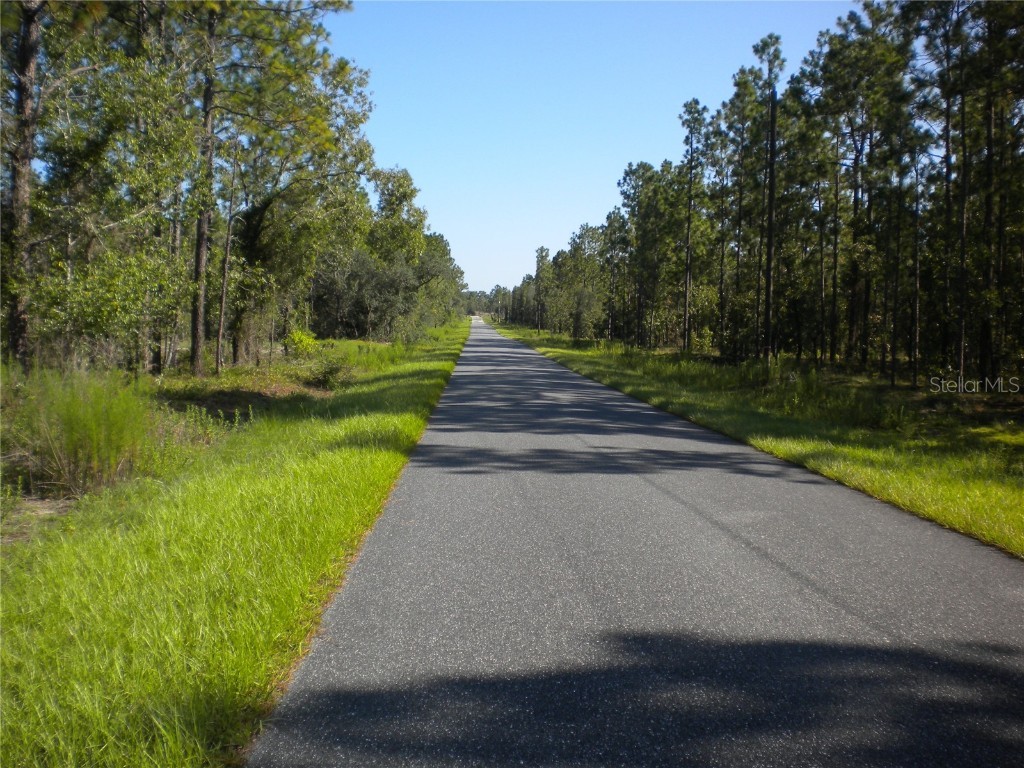 LOT14 SE 136 Th Terrace Dunnellon FL 34431 OM707475 image5