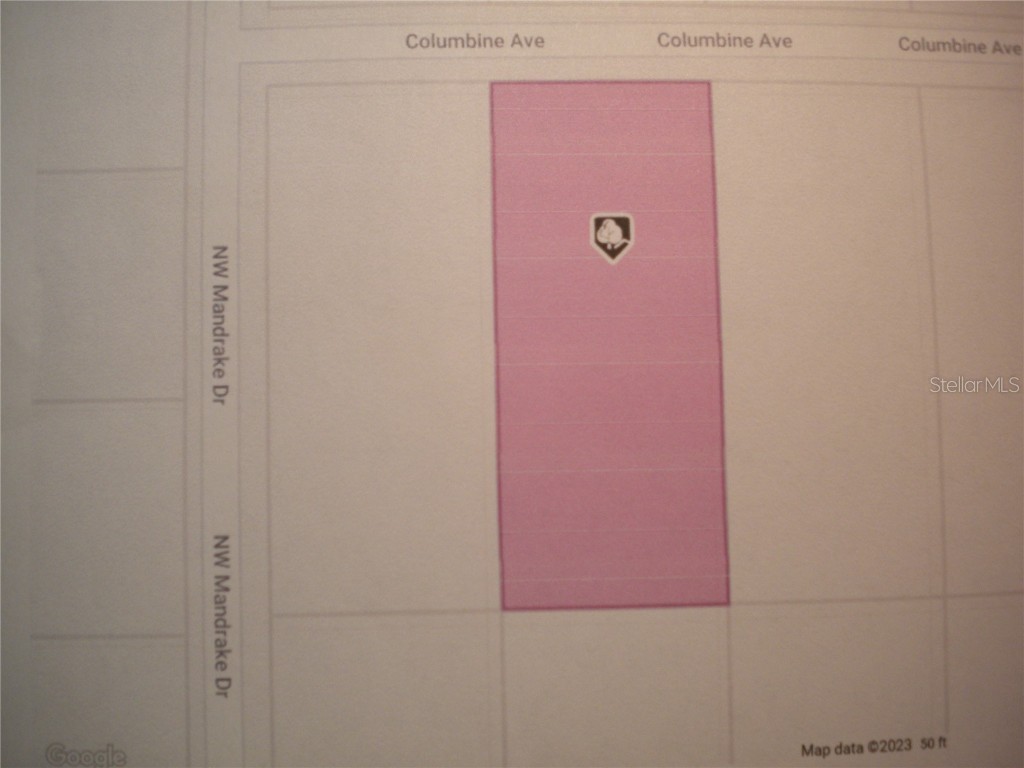 LOT2 NW Coumbine Avenue Dunnellon FL 34431 - TIGER BONABLE & LITTLE BONA OM651914 image1