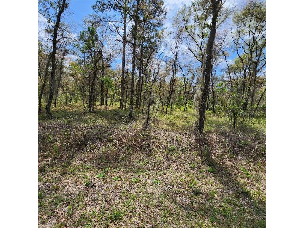 LOT4 NW Hank Hoff Avenue Dunnellon FL 34431 OM654421 image1