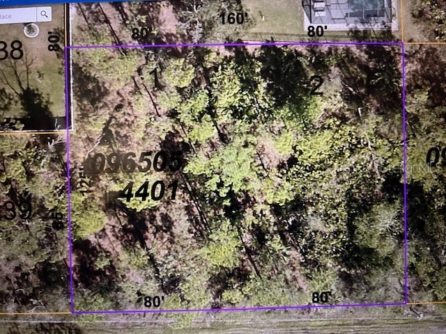 LOTS 1 & 2 Sunburst Avenue North Port FL 34286 T3508254 image1