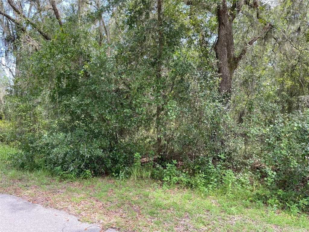 LOTS 13 & 14 SW Shorewood Drive Dunnellon FL 34431 OM708305 image10
