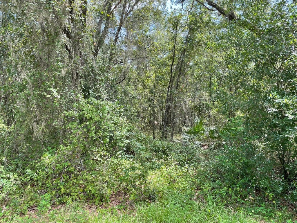 LOTS 13 & 14 SW Shorewood Drive Dunnellon FL 34431 OM708305 image11