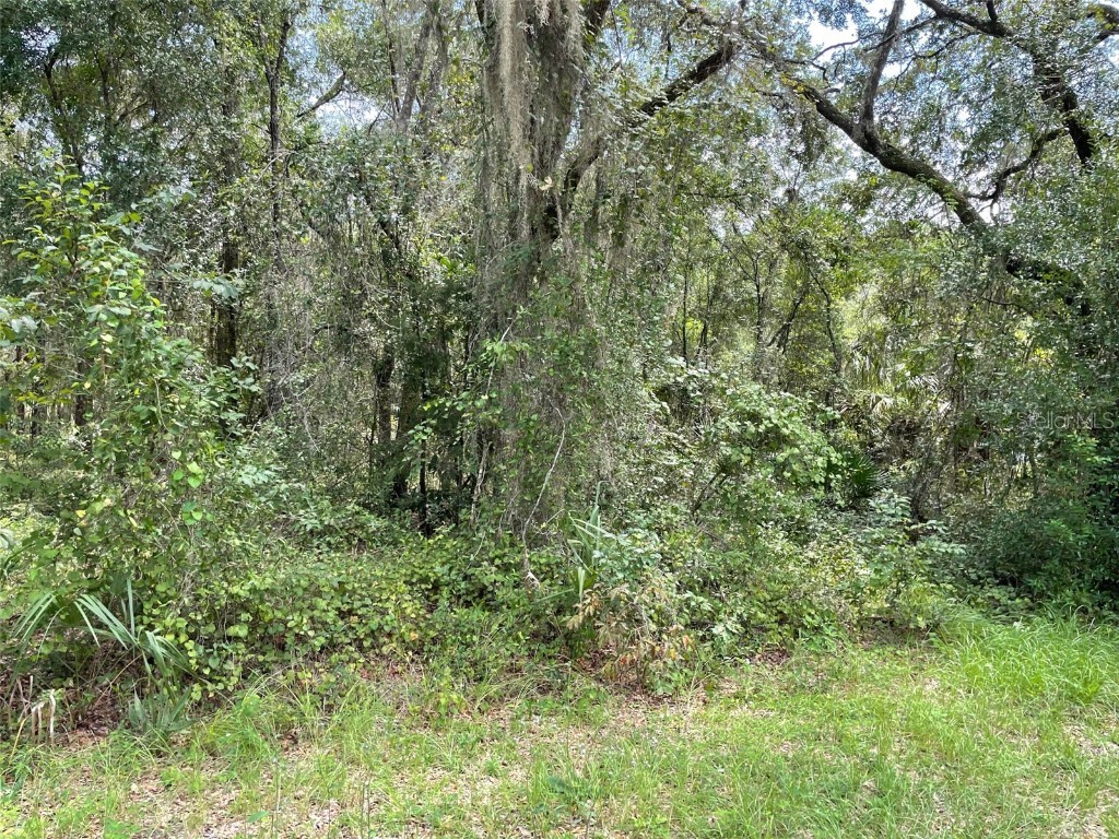 LOTS 13 & 14 SW Shorewood Drive Dunnellon FL 34431 OM708305 image12