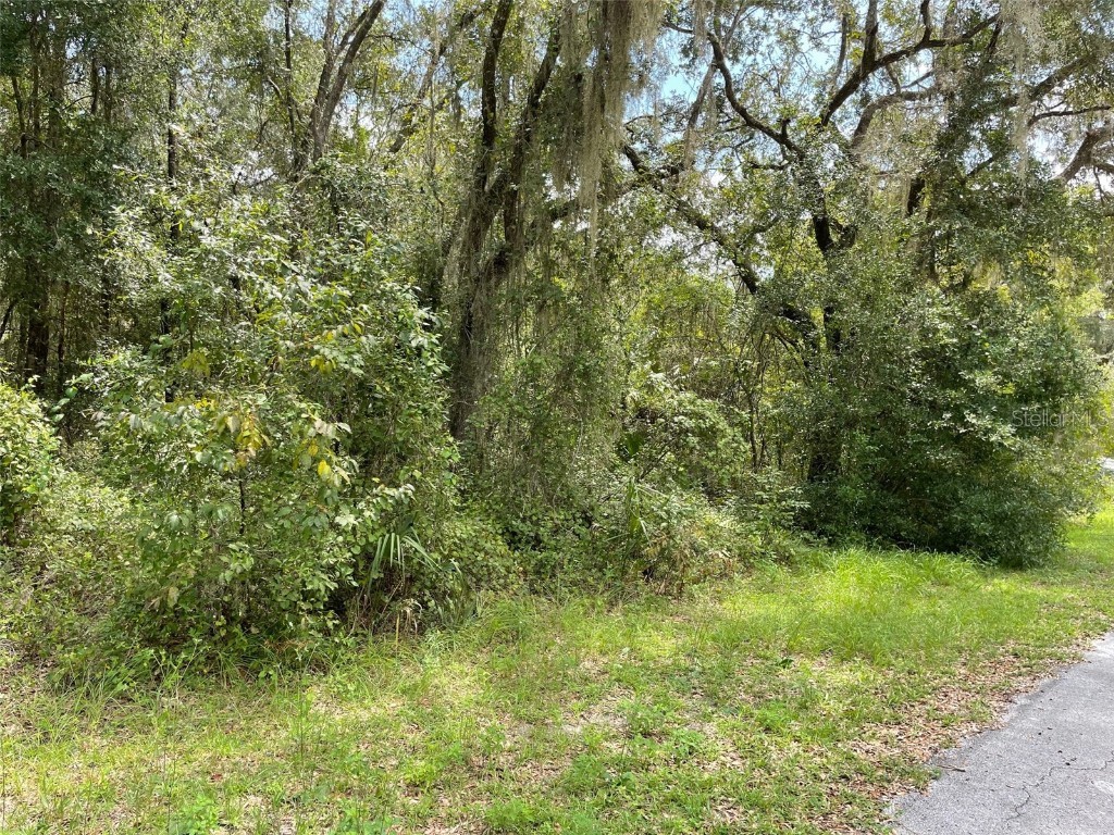 LOTS 13 & 14 SW Shorewood Drive Dunnellon FL 34431 OM708305 image13