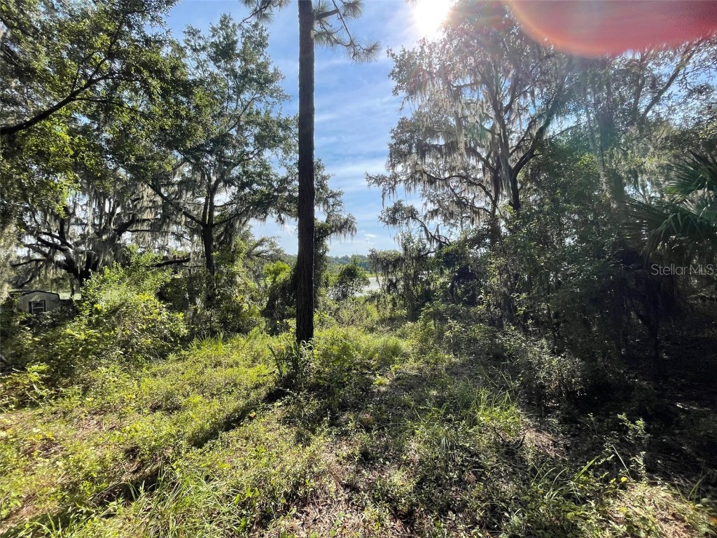 LOTS 13 & 14 SW Shorewood Drive Dunnellon FL 34431 OM708305 image8
