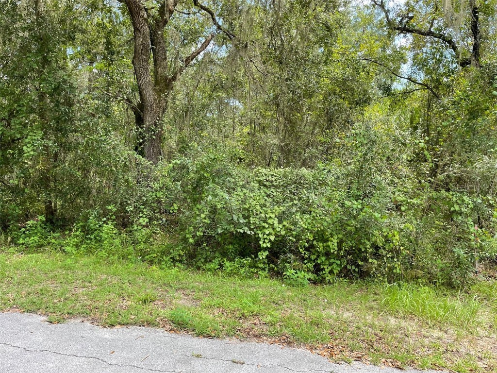 LOTS 13 & 14 SW Shorewood Drive Dunnellon FL 34431 OM708305 image9