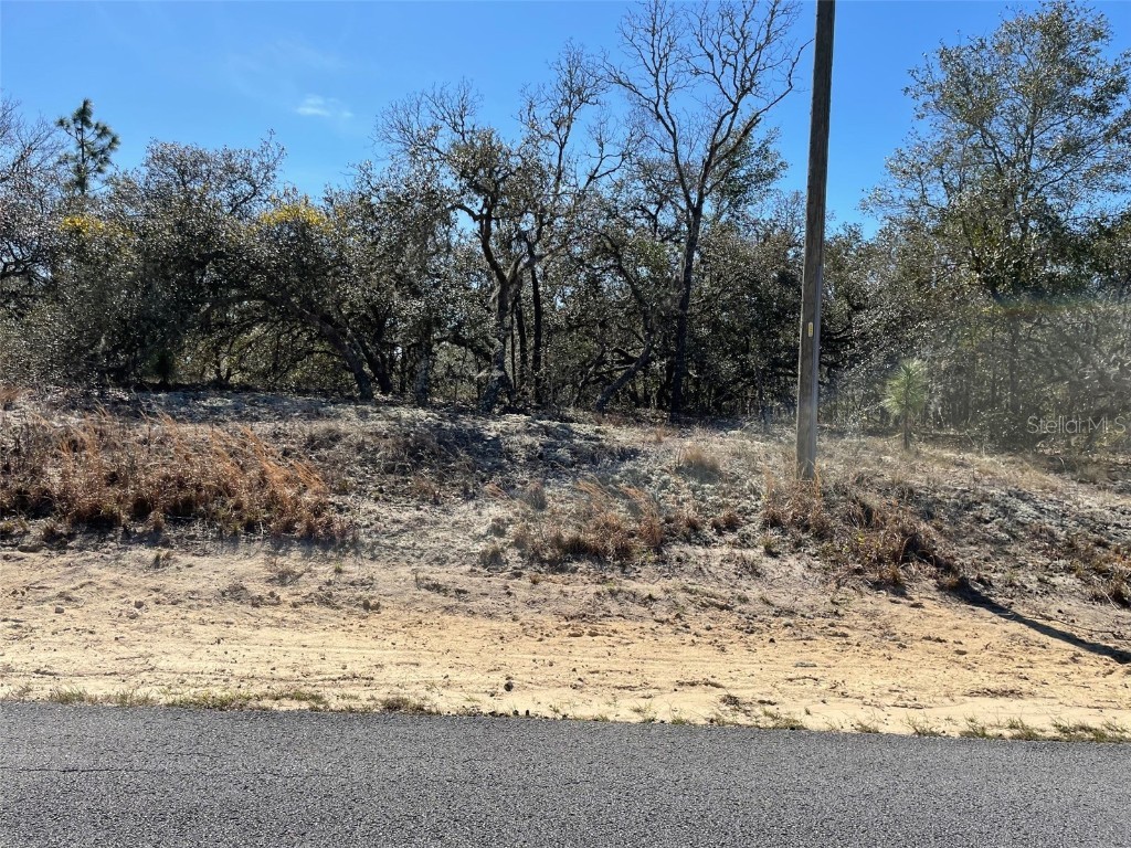 LOTS 14 & 15 SW Kearney Lane Dunnellon FL 34431 OM704368 image1