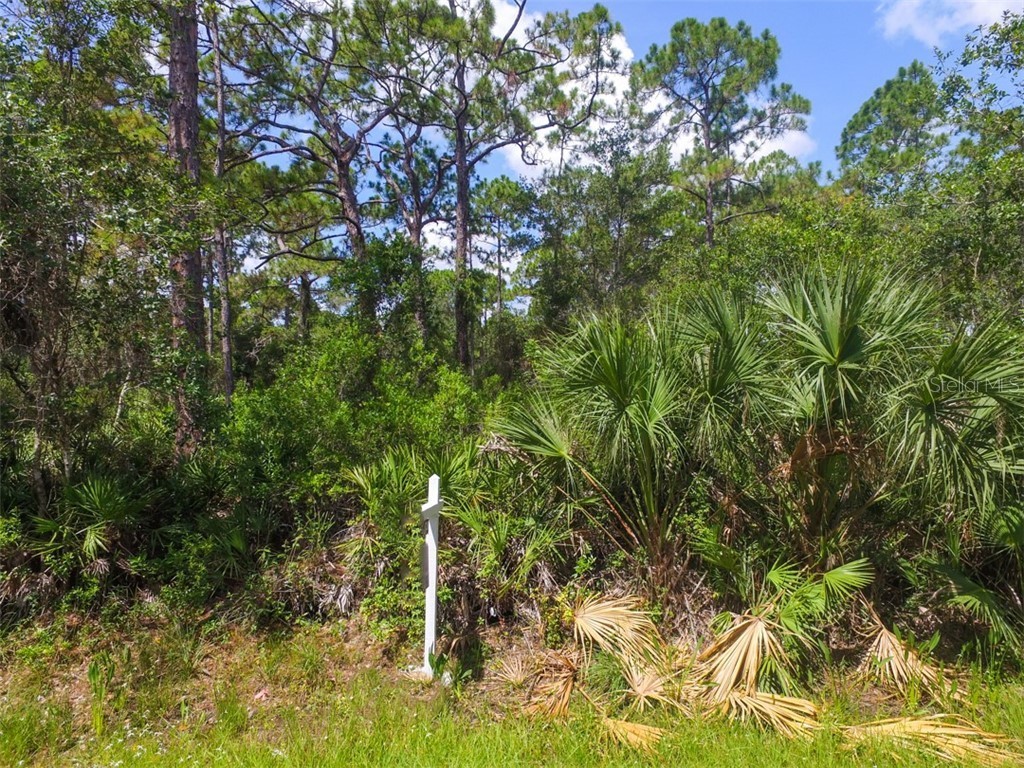 LOTS 151617 Tegastas Street North Port FL 34287 C7430062 image6
