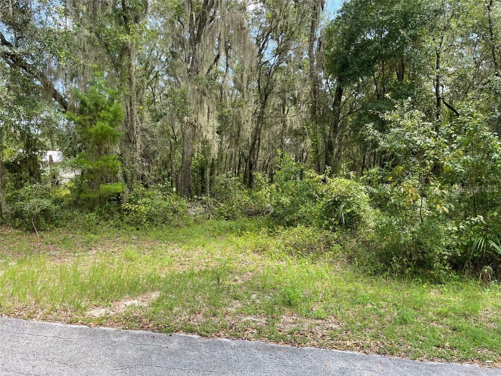 LOTS 15 & 16 SW Shorewood Drive Dunnellon FL 34431 OM708300 image10