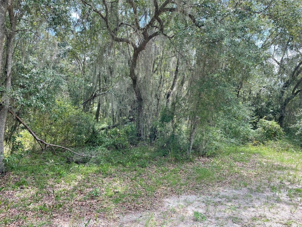 LOTS 15 & 16 SW Shorewood Drive Dunnellon FL 34431 OM708300 image11