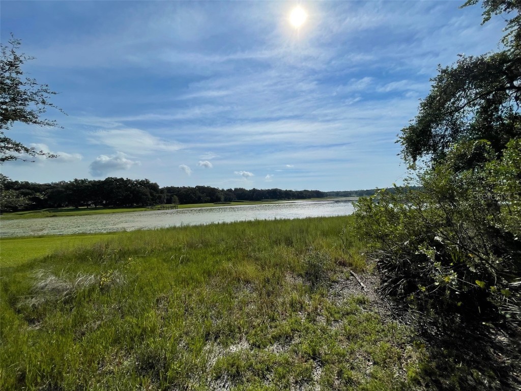 LOTS 15 & 16 SW Shorewood Drive Dunnellon FL 34431 OM708300 image2