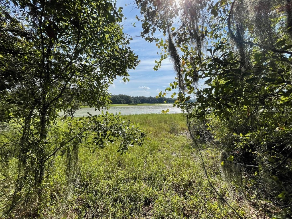 LOTS 15 & 16 SW Shorewood Drive Dunnellon FL 34431 OM708300 image3