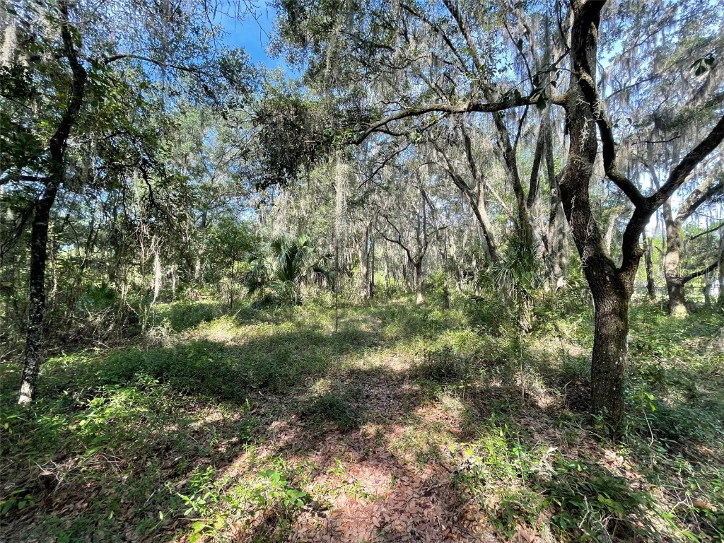 LOTS 15 & 16 SW Shorewood Drive Dunnellon FL 34431 OM708300 image4