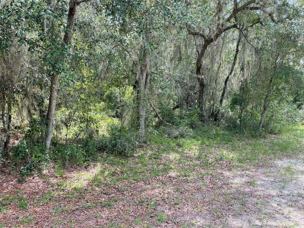 LOTS 15 & 16 SW Shorewood Drive Dunnellon FL 34431 OM708300 image9