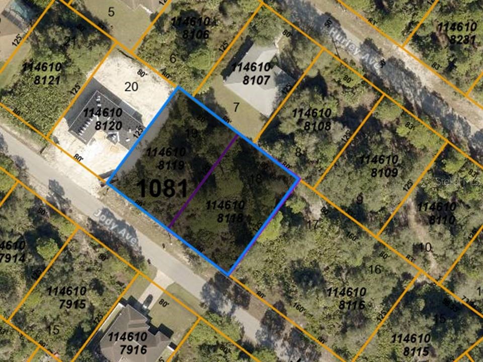 LOTS 18 & 19 Jody Avenue North Port FL 34288 N6121821 image1