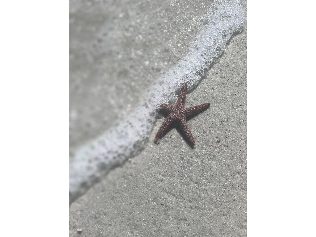 LOTS 216 & 217 Rainbow Road Venice FL 34293 C7505730 image13