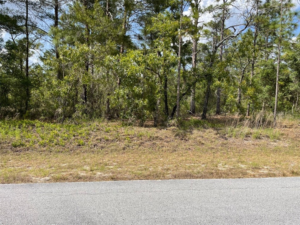 LOTS 29 30 SW Anchor Boulevard Dunnellon FL 34431 OM700356 image1