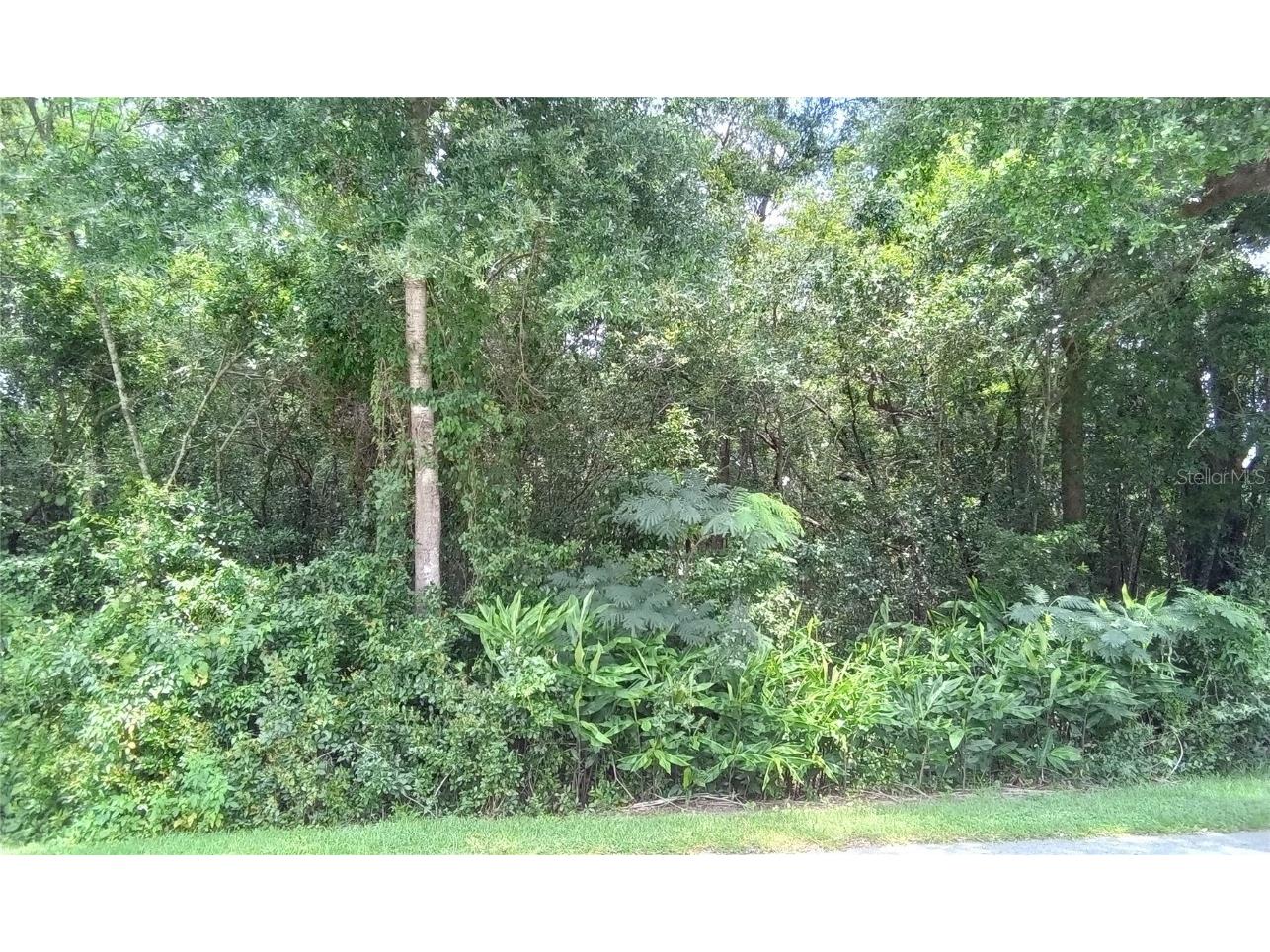 LOTS 38 TO 40 SE 138th Place Summerfield FL 34491 OM683564 image1