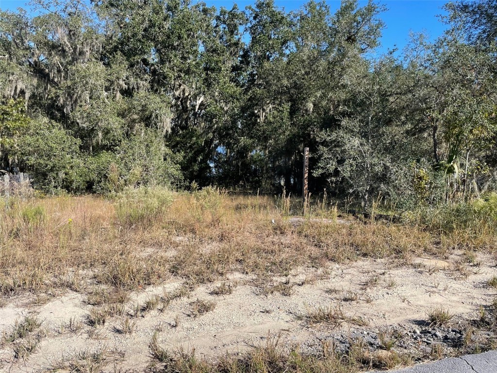 LOTS 444 445 SW Shorewood Drive Dunnellon FL 34431 OM712655 image3