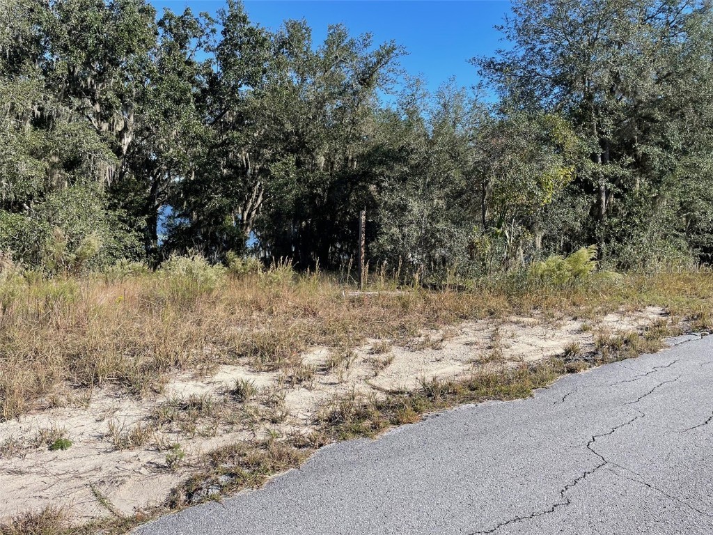 LOTS 444 445 SW Shorewood Drive Dunnellon FL 34431 OM712655 image4