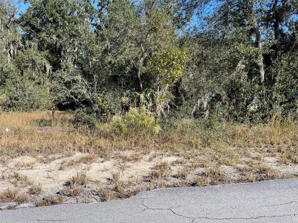 LOTS 444 445 SW Shorewood Drive Dunnellon FL 34431 OM712655 image5