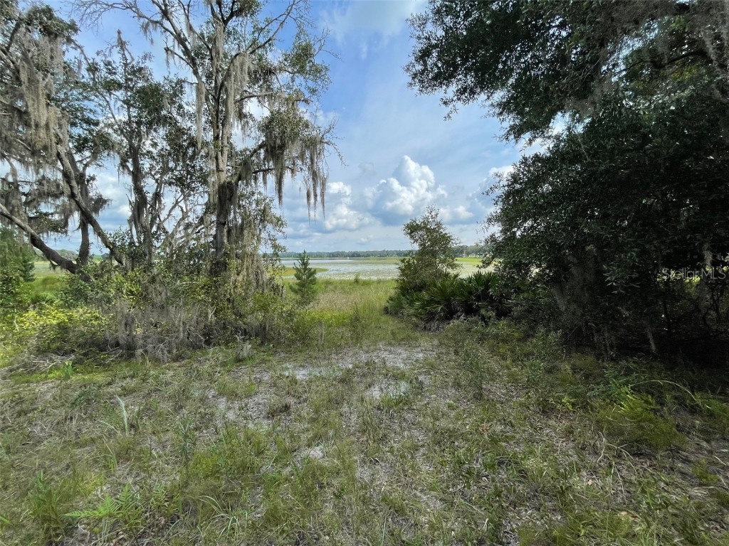 LOTS 462 & 463 SW Shorewood Drive Dunnellon FL 34431 OM708409 image2