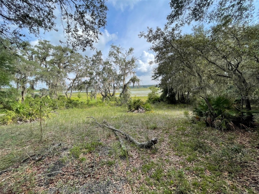 LOTS 462 & 463 SW Shorewood Drive Dunnellon FL 34431 OM708409 image3