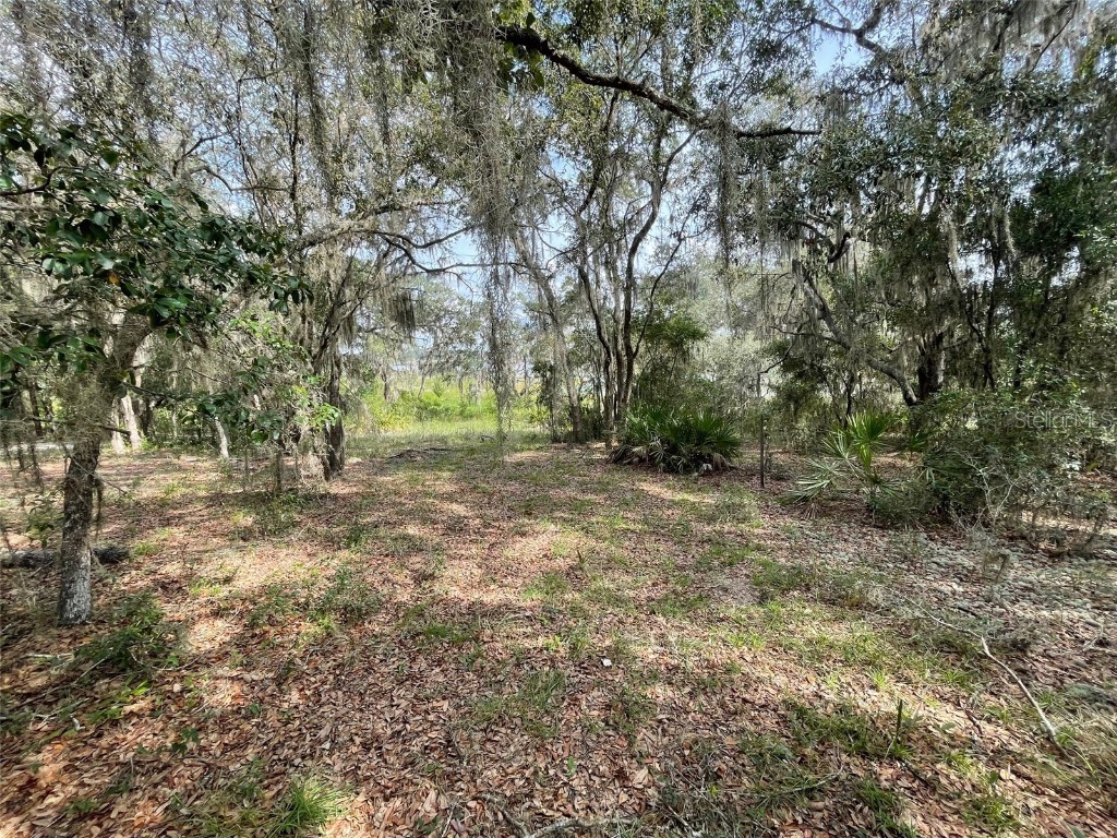 LOTS 462 & 463 SW Shorewood Drive Dunnellon FL 34431 OM708409 image4