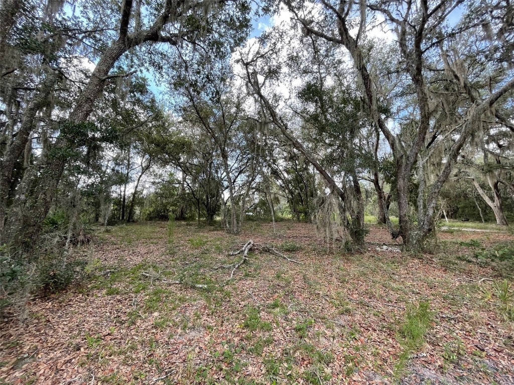 LOTS 462 & 463 SW Shorewood Drive Dunnellon FL 34431 OM708409 image5