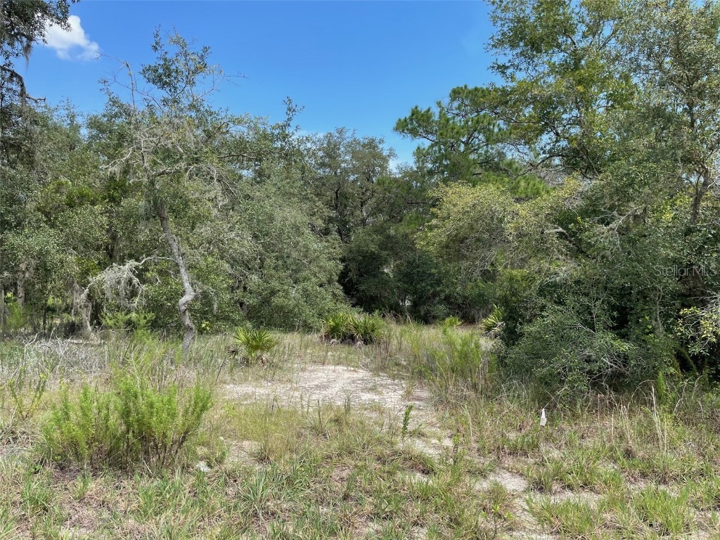 LOTS 462 & 463 SW Shorewood Drive Dunnellon FL 34431 OM708409 image6